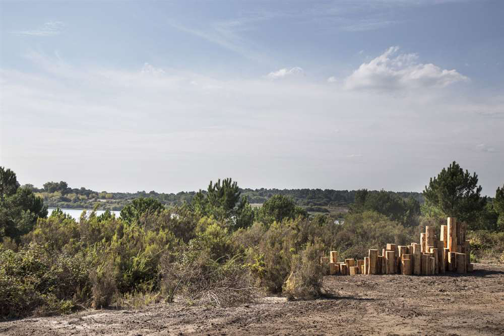 16 — Les Orgues des Landes Séverine Hubard Arjuzanx, 2016 | programmation : Jean-Francois Dumont 