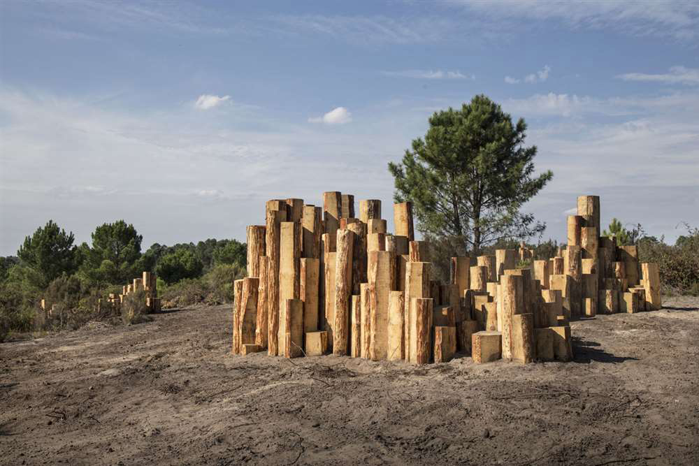 16 — Les Orgues des Landes Séverine Hubard Arjuzanx, 2016  | programmation : Jean-Francois Dumont 