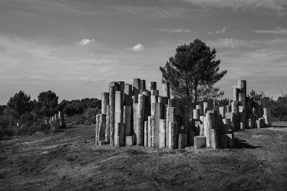 16 — Les Orgues des Landes Séverine Hubard Arjuzanx, 2016  | programmation : Jean-Francois Dumont 