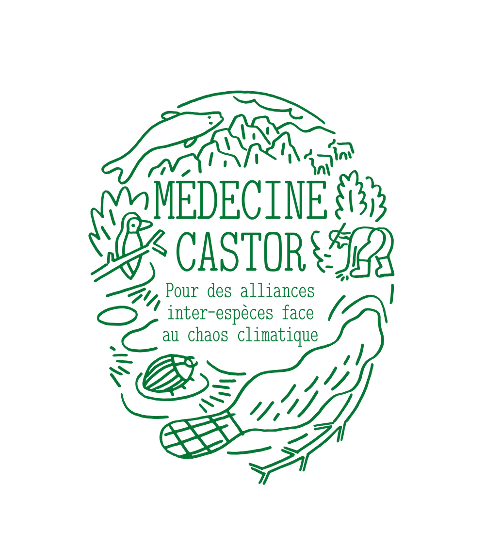 06 — Paysage et loup Roland Cognet Mont-de-Marsan, 2012 | programmation : Christophe Doucet